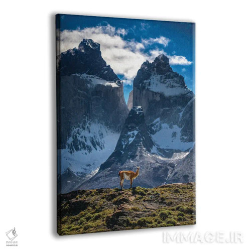 تابلو مناظر کوهستانی توریس دل پاین، پاتاگونیا، شیلی (۲) اثر الکس جی پرز - نمای پرسپکتیو محصول