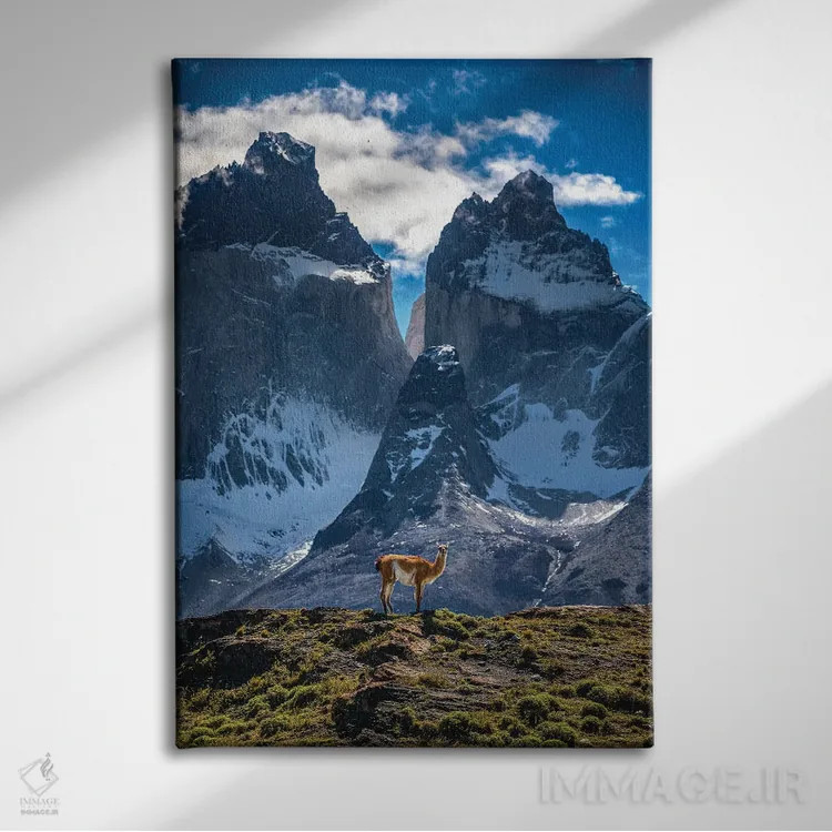 تابلو مناظر کوهستانی توریس دل پاین، پاتاگونیا، شیلی (۲) اثر الکس جی پرز - نمای روبهرو روی دیوار