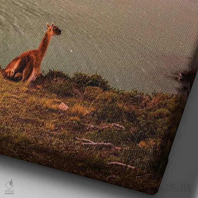 تابلو غروب تماشایی کوهستانی توریس دل پاین، پاتاگونیا، شیلی (۲) اثر الکس جی پرز - نمای نزدیک بافت بوم