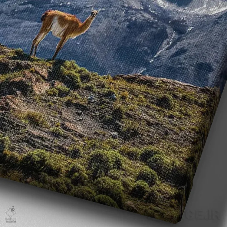 تابلو مناظر کوهستانی توریس دل پاین، پاتاگونیا، شیلی (۲) اثر الکس جی پرز - نمای نزدیک بافت بوم