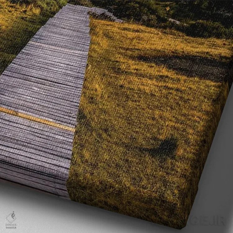 تابلو مناظر کوهستانی توریس دل پاین، پاتاگونیا، شیلی (۶) اثر الکس جی پرز - نمای نزدیک بافت بوم