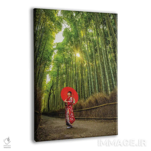 تابلو Kyoto, Japan I,قدمزنی در جنگل بامبوی آراشیاما، کیوتو، ژاپن (۱) اثر الکس جی پرز - نمای پرسپکتیو محصول