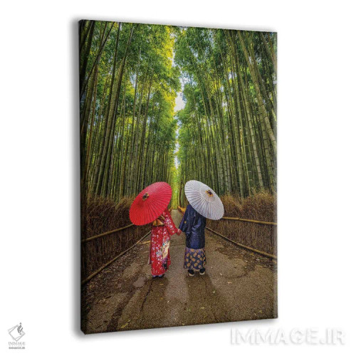 تابلو Kyoto, Japan II,قدمزنی در جنگل بامبوی آراشیاما، کیوتو، ژاپن (۲) اثر الکس جی پرز - نمای پرسپکتیو محصول