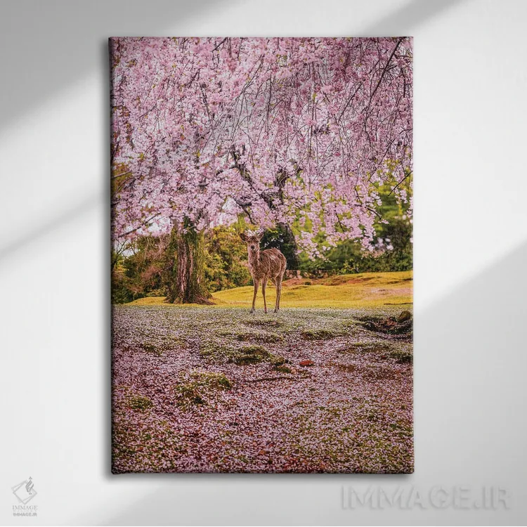 تابلو Japan II,گوزنها میان درختان شکوفههای گیلاس پارک نارا، کیوتو، ژاپن (۲) اثر الکس جی پرز - نمای روبهرو روی دیوار
