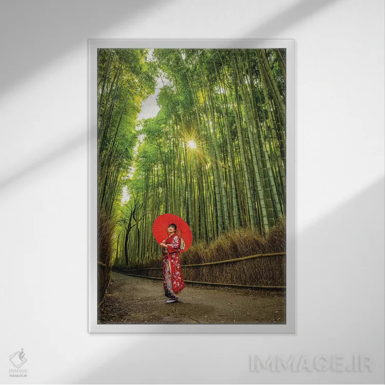 تابلو Kyoto, Japan I,قدمزنی در جنگل بامبوی آراشیاما، کیوتو، ژاپن (۱) اثر الکس جی پرز - نمای قابدار سفید