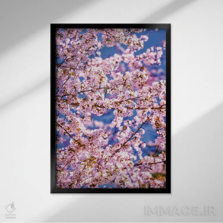 تابلو Fujinomiya, Japan I,شکوفههای گیلاس در فوجینومیا، ژاپن (۱) اثر الکس جی پرز - نمای قابدار مشکی