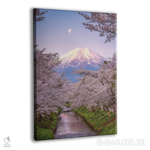 تابلو نگاه به بالای رودخانه شیناشو، شکوفههای گیلاس و کوه فوجی (۱) اثر الکس جی پرز - نمای پرسپکتیو محصول
