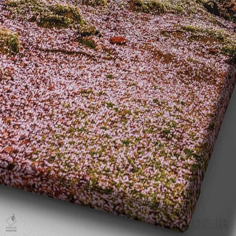 تابلو Japan II,گوزنها میان درختان شکوفههای گیلاس پارک نارا، کیوتو، ژاپن (۲) اثر الکس جی پرز - نمای نزدیک بافت بوم