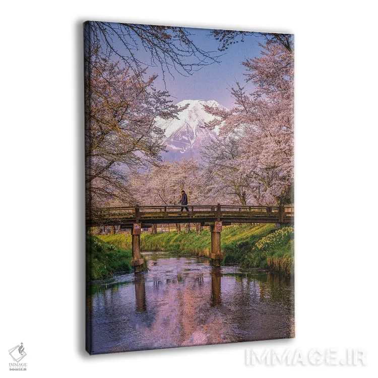تابلو نگاه به بالای رودخانه شیناشو، شکوفههای گیلاس و کوه فوجی (۲) اثر الکس جی پرز - نمای پرسپکتیو محصول