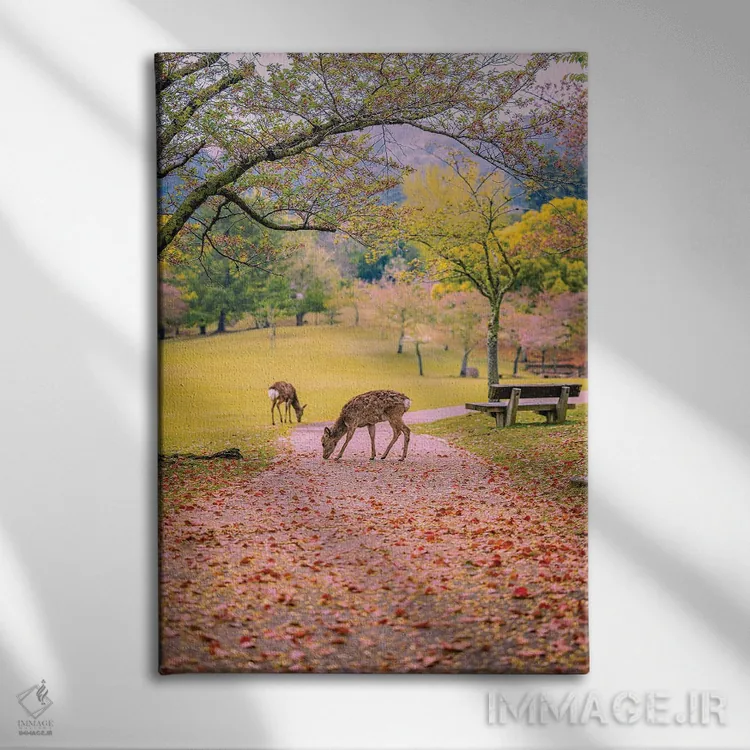 تابلو Japan VIII,گوزنها میان درختان شکوفههای گیلاس پارک نارا، کیوتو، ژاپن (۸) اثر الکس جی پرز - نمای روبهرو روی دیوار