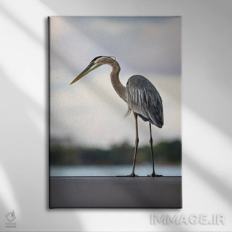 تابلو Orlando, Florida,پرنده ماهیگیر کبود بزرگ دریاچه هولدن، اورلاندو، فلوریدا اثر الکس جی پرز - نمای روبهرو روی دیوار