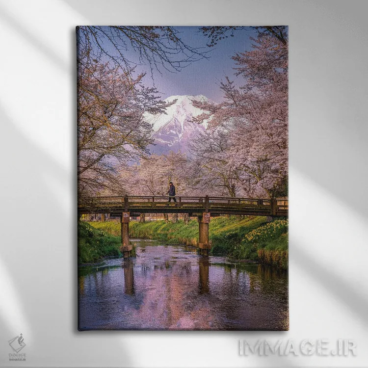 تابلو نگاه به بالای رودخانه شیناشو، شکوفههای گیلاس و کوه فوجی (۲) اثر الکس جی پرز - نمای روبهرو روی دیوار