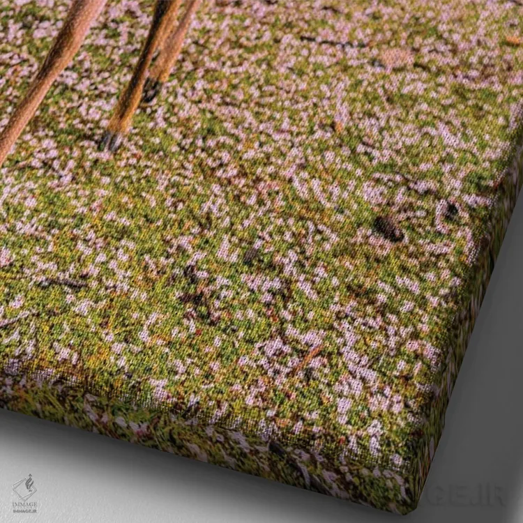 تابلو Japan III,گوزنها میان درختان شکوفههای گیلاس پارک نارا، کیوتو، ژاپن (۳) اثر الکس جی پرز - نمای نزدیک بافت بوم