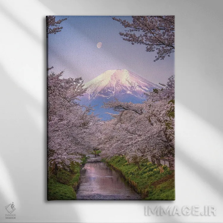 تابلو نگاه به بالای رودخانه شیناشو، شکوفههای گیلاس و کوه فوجی (۱) اثر الکس جی پرز - نمای روبهرو روی دیوار