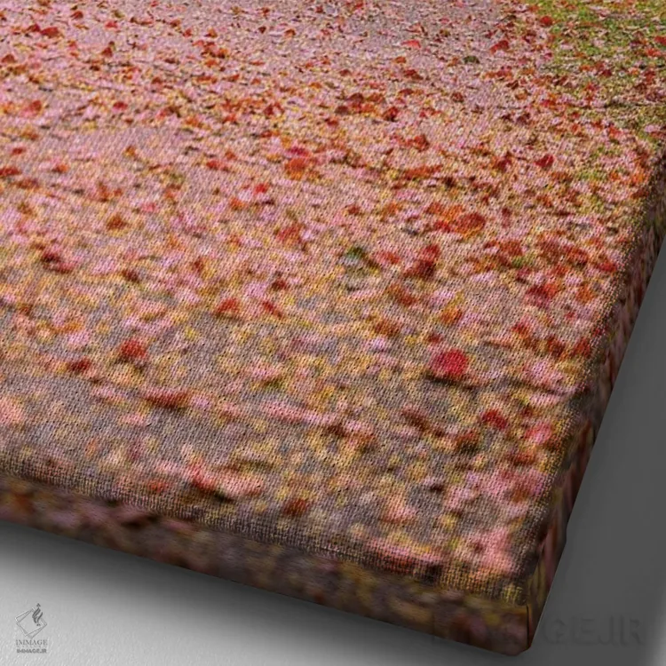 تابلو Japan VIII,گوزنها میان درختان شکوفههای گیلاس پارک نارا، کیوتو، ژاپن (۸) اثر الکس جی پرز - نمای نزدیک بافت بوم