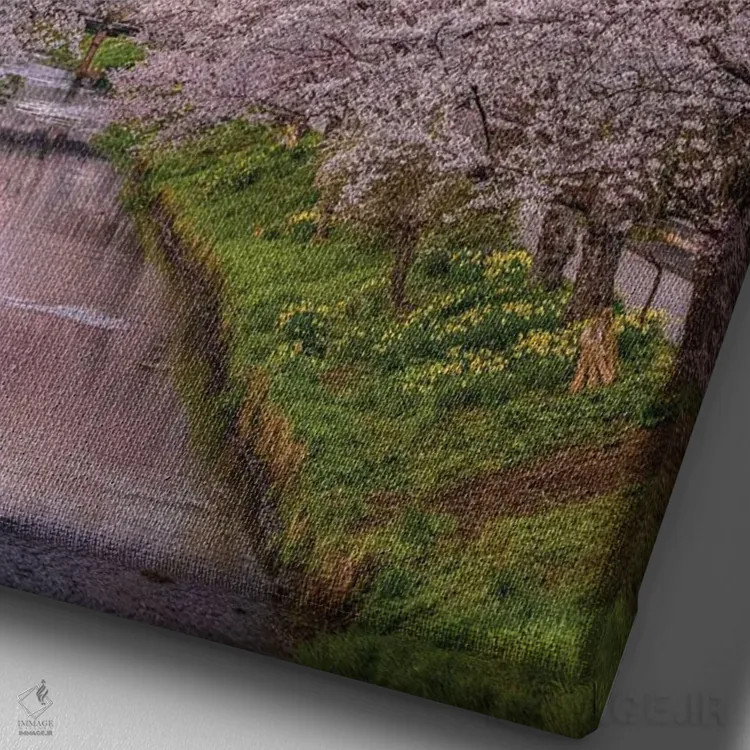 تابلو نگاه به بالای رودخانه شیناشو، شکوفههای گیلاس و کوه فوجی (۱) اثر الکس جی پرز - نمای نزدیک بافت بوم