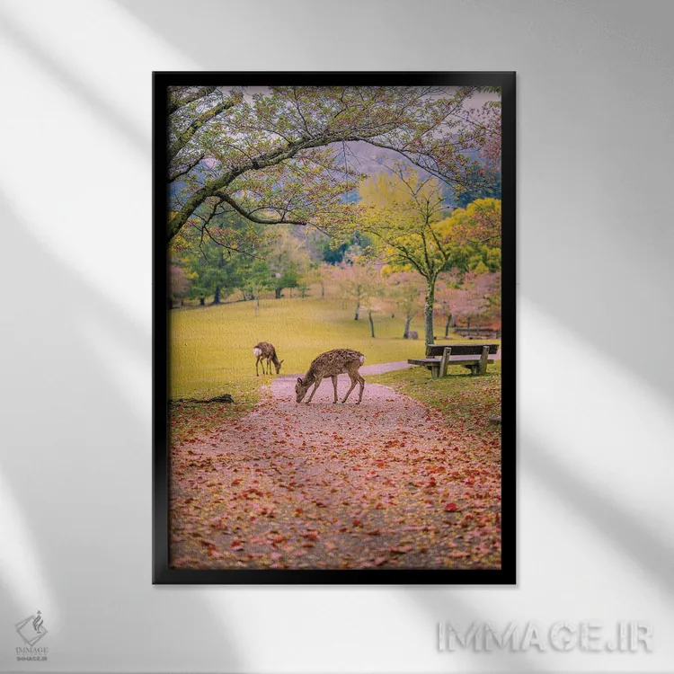 تابلو Japan VIII,گوزنها میان درختان شکوفههای گیلاس پارک نارا، کیوتو، ژاپن (۸) اثر الکس جی پرز - نمای قابدار مشکی