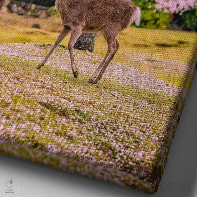 تابلو Japan VI,گوزنها میان درختان شکوفههای گیلاس پارک نارا، کیوتو، ژاپن (۶) اثر الکس جی پرز - نمای نزدیک بافت بوم