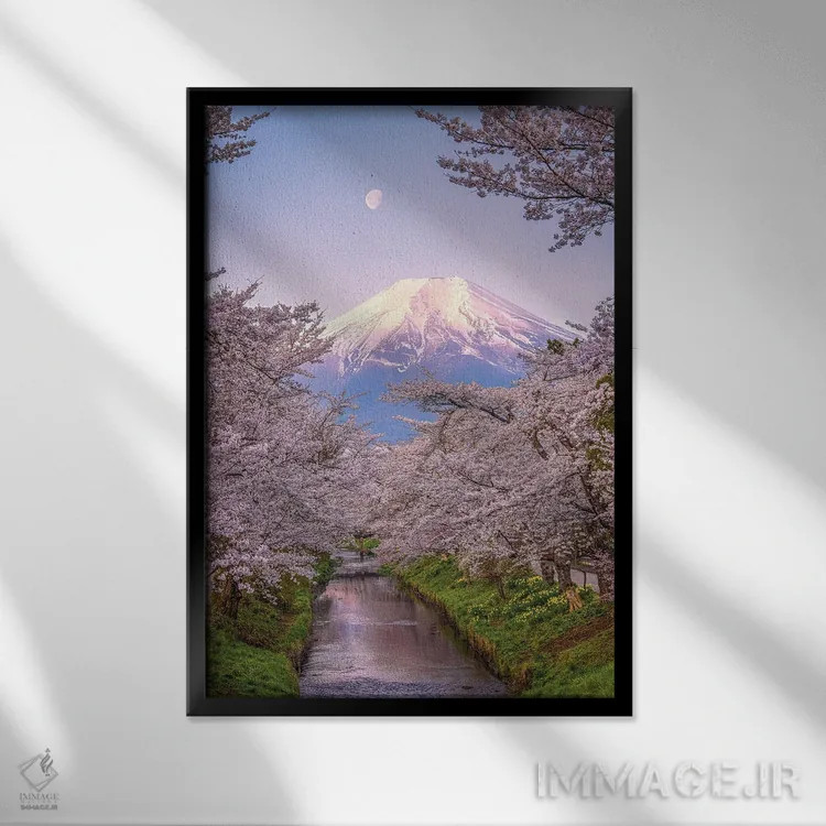 تابلو نگاه به بالای رودخانه شیناشو، شکوفههای گیلاس و کوه فوجی (۱) اثر الکس جی پرز - نمای قابدار مشکی