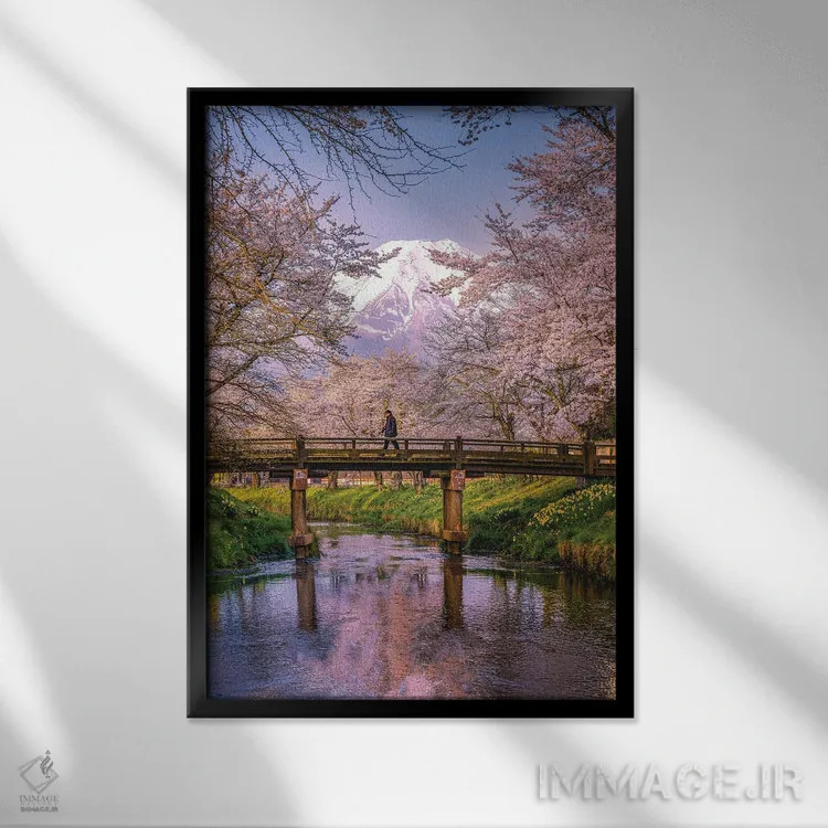 تابلو نگاه به بالای رودخانه شیناشو، شکوفههای گیلاس و کوه فوجی (۲) اثر الکس جی پرز - نمای قابدار مشکی