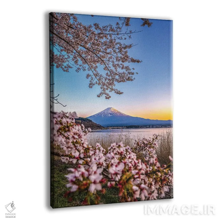 تابلو Lake Kawaguchi II,منظره کوه فوجی از میان درختان شکوفه گیلاس کنار دریاچه کاواگوچی (۲) اثر الکس جی پرز - نمای پرسپکتیو محصول