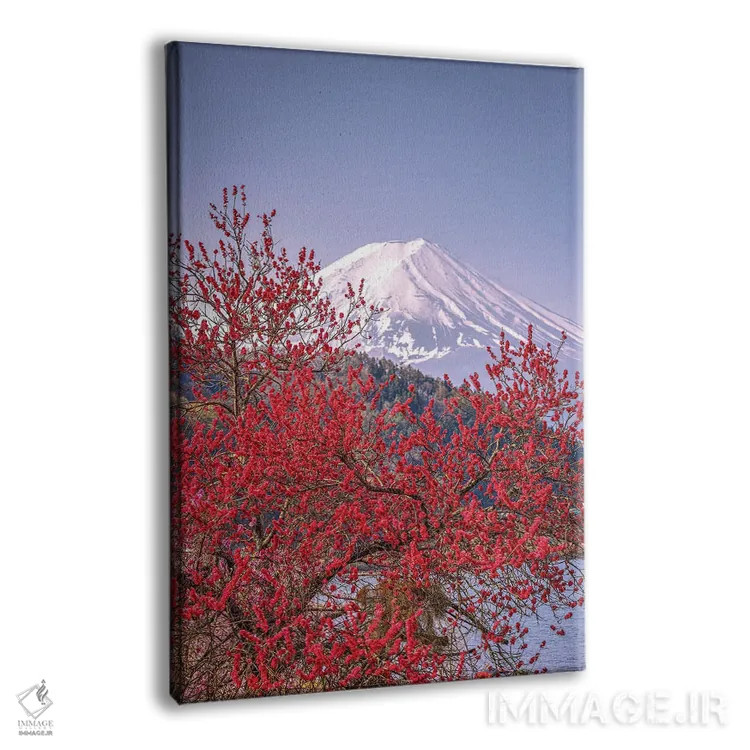 تابلو Lake Kawaguchi VII,منظره کوه فوجی از میان درختان شکوفه گیلاس کنار دریاچه کاواگوچی (۷) اثر الکس جی پرز - نمای پرسپکتیو محصول
