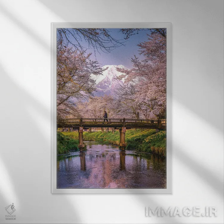 تابلو نگاه به بالای رودخانه شیناشو، شکوفههای گیلاس و کوه فوجی (۲) اثر الکس جی پرز - نمای قابدار سفید