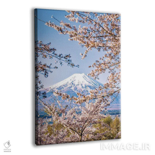 تابلو Lake Kawaguchi IV,منظره کوه فوجی از میان درختان شکوفه گیلاس کنار دریاچه کاواگوچی (۴) اثر الکس جی پرز - نمای پرسپکتیو محصول