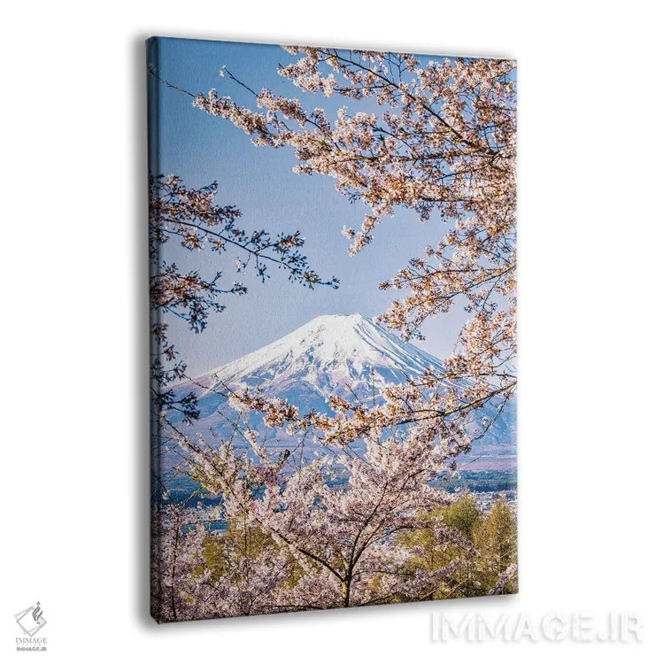 تابلو Lake Kawaguchi IV,منظره کوه فوجی از میان درختان شکوفه گیلاس کنار دریاچه کاواگوچی (۴) اثر الکس جی پرز - نمای پرسپکتیو محصول