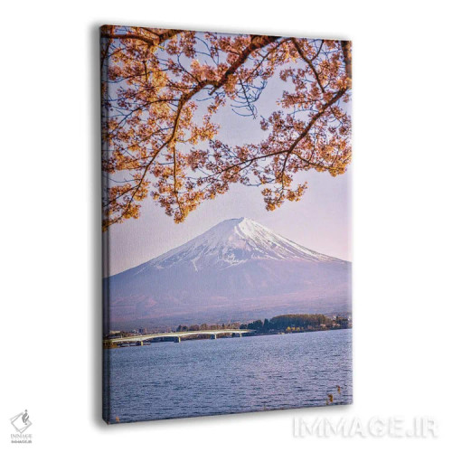 تابلو Lake Kawaguchi VI,منظره کوه فوجی از میان درختان شکوفه گیلاس کنار دریاچه کاواگوچی (۶) اثر الکس جی پرز - نمای پرسپکتیو محصول