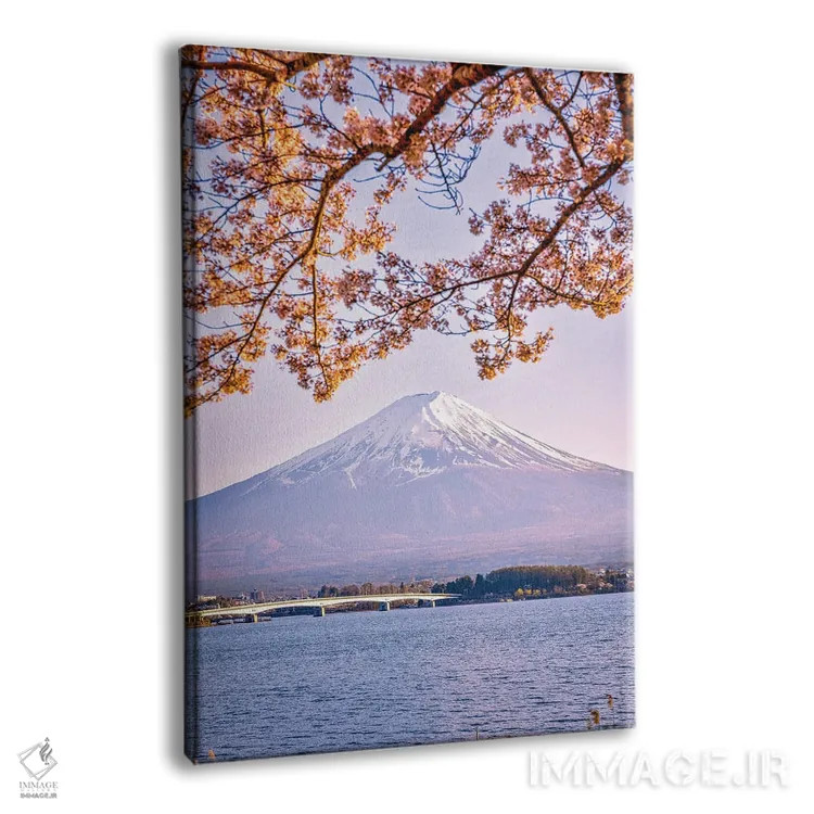 تابلو Lake Kawaguchi VI,منظره کوه فوجی از میان درختان شکوفه گیلاس کنار دریاچه کاواگوچی (۶) اثر الکس جی پرز - نمای پرسپکتیو محصول