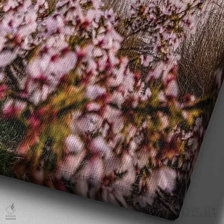 تابلو Lake Kawaguchi II,منظره کوه فوجی از میان درختان شکوفه گیلاس کنار دریاچه کاواگوچی (۲) اثر الکس جی پرز - نمای نزدیک بافت بوم