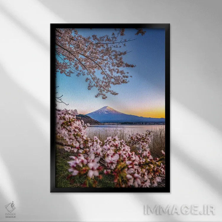 تابلو Lake Kawaguchi II,منظره کوه فوجی از میان درختان شکوفه گیلاس کنار دریاچه کاواگوچی (۲) اثر الکس جی پرز - نمای قابدار مشکی