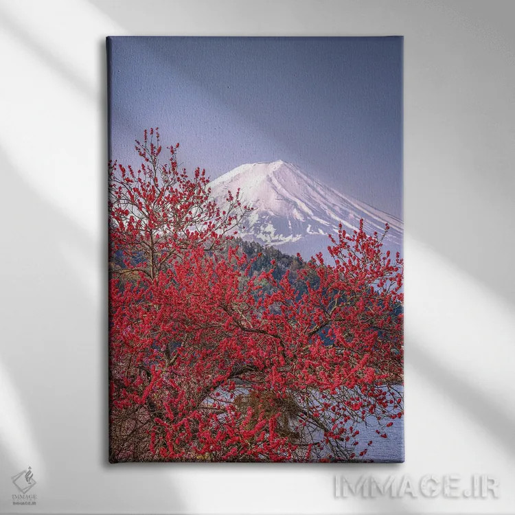 تابلو Lake Kawaguchi VII,منظره کوه فوجی از میان درختان شکوفه گیلاس کنار دریاچه کاواگوچی (۷) اثر الکس جی پرز - نمای روبهرو روی دیوار