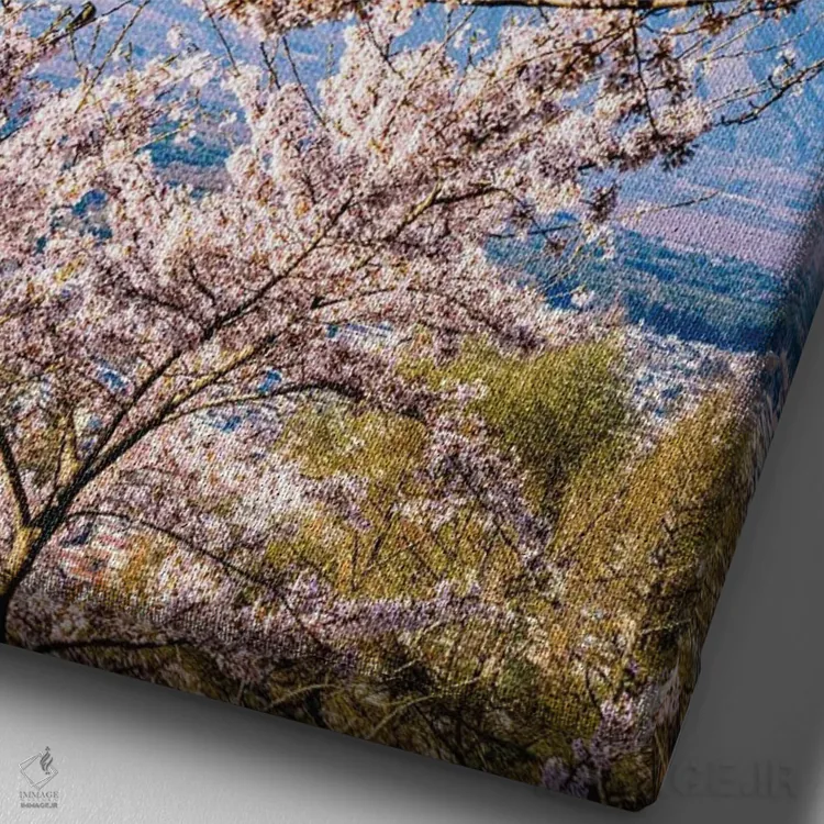 تابلو Lake Kawaguchi IV,منظره کوه فوجی از میان درختان شکوفه گیلاس کنار دریاچه کاواگوچی (۴) اثر الکس جی پرز - نمای نزدیک بافت بوم