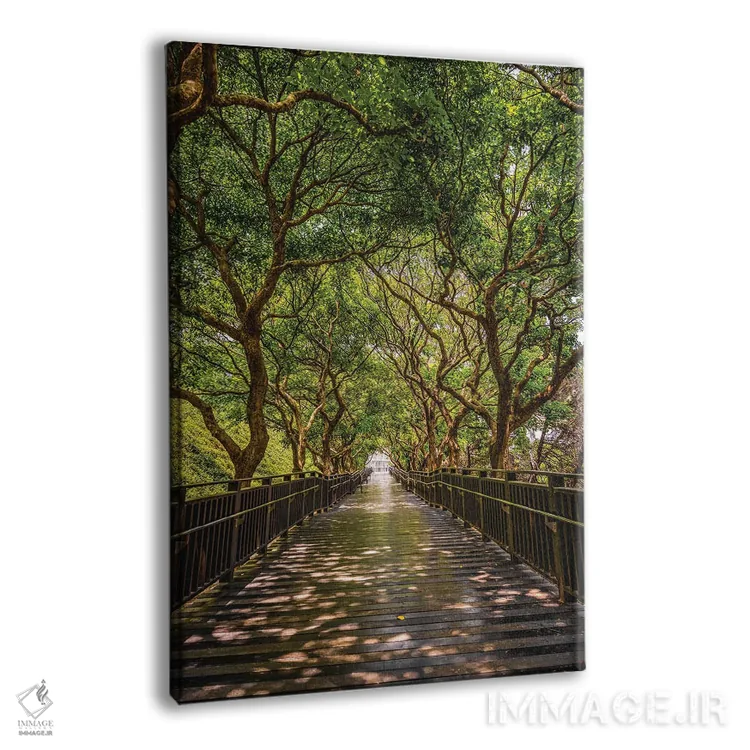 تابلو Taiwan,باغ ژیشان، تایوان اثر الکس جی پرز - نمای پرسپکتیو محصول