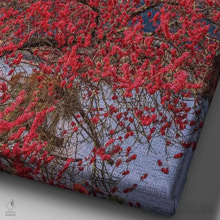 تابلو Lake Kawaguchi VII,منظره کوه فوجی از میان درختان شکوفه گیلاس کنار دریاچه کاواگوچی (۷) اثر الکس جی پرز - نمای نزدیک بافت بوم