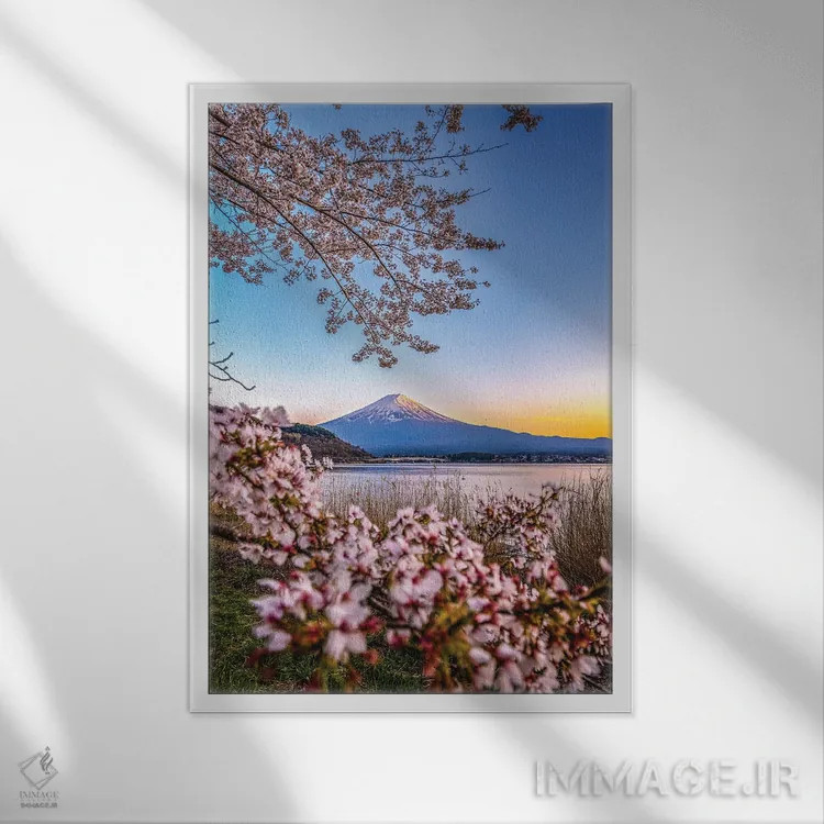 تابلو Lake Kawaguchi II,منظره کوه فوجی از میان درختان شکوفه گیلاس کنار دریاچه کاواگوچی (۲) اثر الکس جی پرز - نمای قابدار سفید