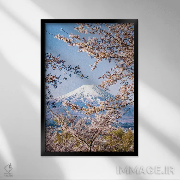 تابلو Lake Kawaguchi IV,منظره کوه فوجی از میان درختان شکوفه گیلاس کنار دریاچه کاواگوچی (۴) اثر الکس جی پرز - نمای قابدار مشکی