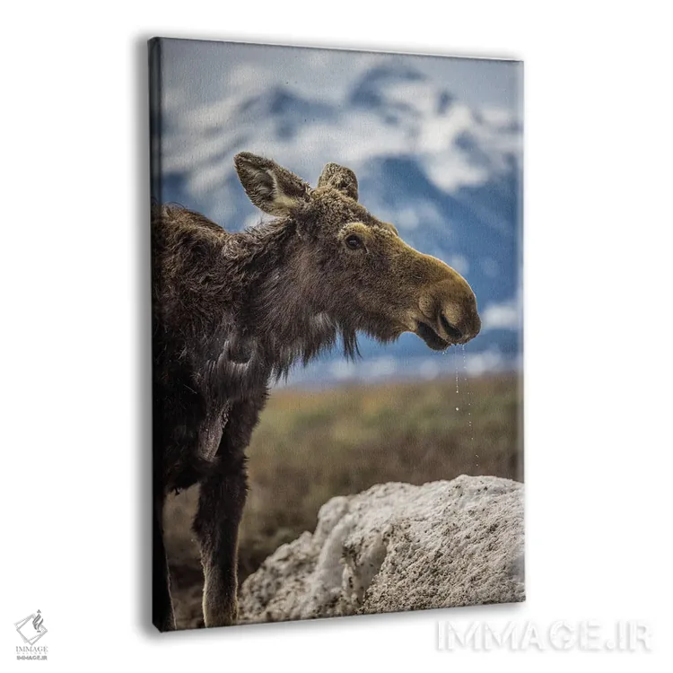 تابلو گوزن بزرگ تیتون (۵) اثر الکس جی پرز - نمای پرسپکتیو محصول