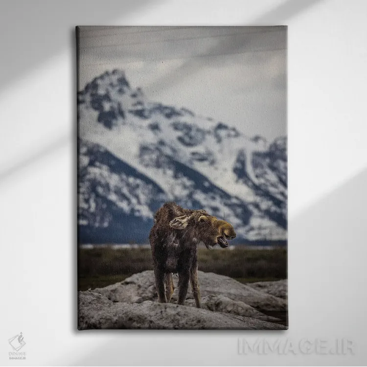 تابلو گوزن بزرگ تیتون (۳) اثر الکس جی پرز - نمای روبهرو روی دیوار