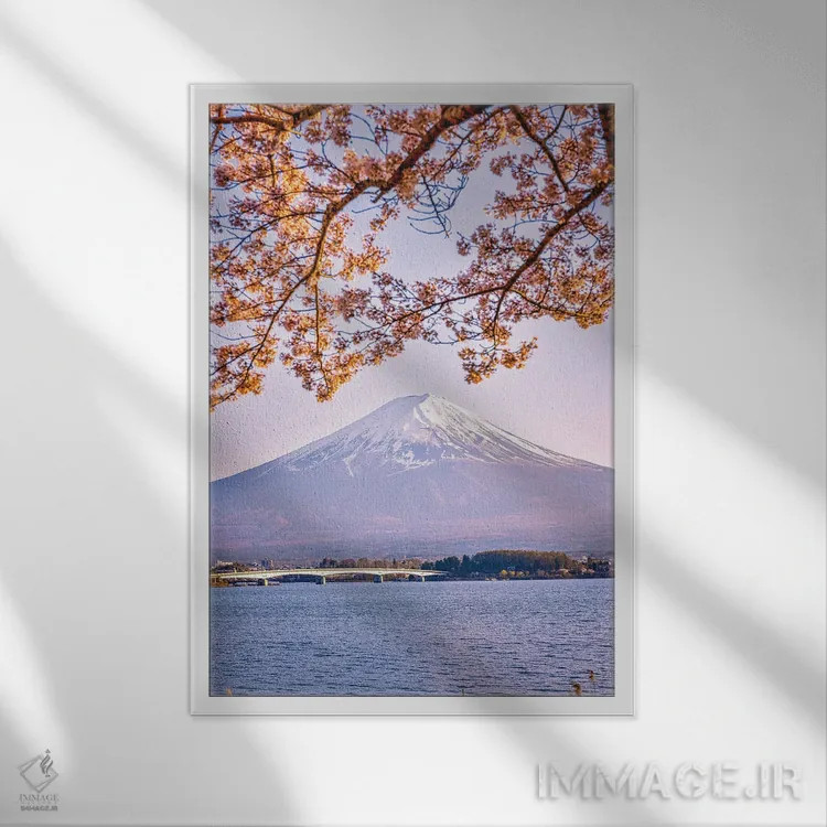 تابلو Lake Kawaguchi VI,منظره کوه فوجی از میان درختان شکوفه گیلاس کنار دریاچه کاواگوچی (۶) اثر الکس جی پرز - نمای قابدار سفید