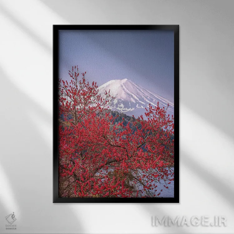 تابلو Lake Kawaguchi VII,منظره کوه فوجی از میان درختان شکوفه گیلاس کنار دریاچه کاواگوچی (۷) اثر الکس جی پرز - نمای قابدار مشکی