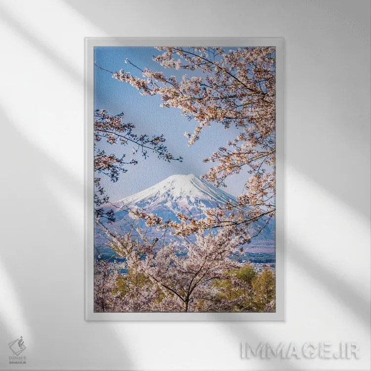 تابلو Lake Kawaguchi IV,منظره کوه فوجی از میان درختان شکوفه گیلاس کنار دریاچه کاواگوچی (۴) اثر الکس جی پرز - نمای قابدار سفید