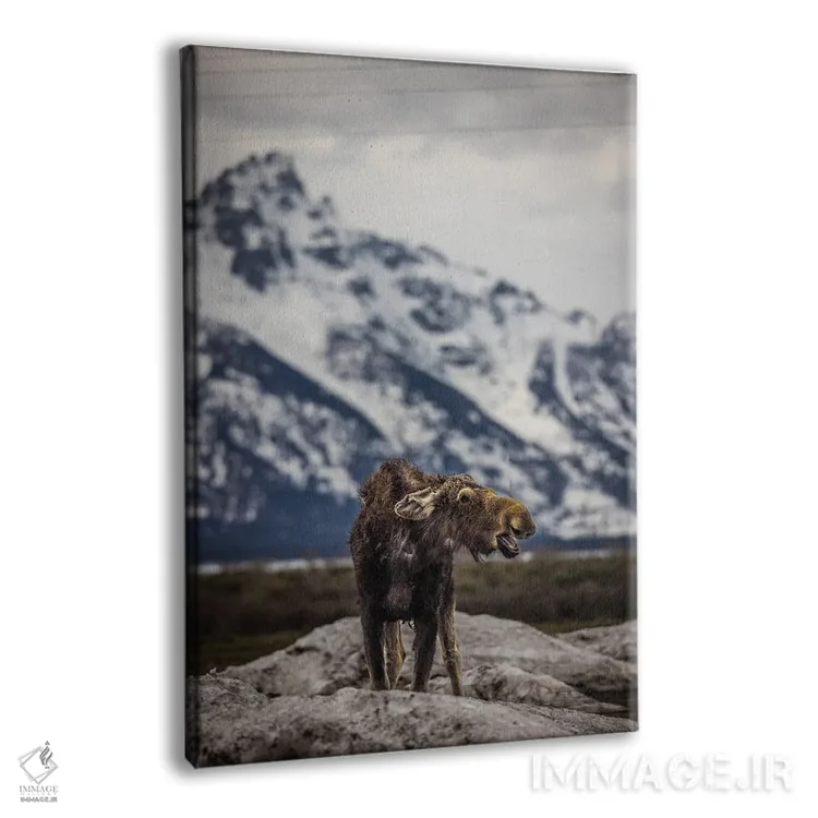 تابلو گوزن بزرگ تیتون (۳) اثر الکس جی پرز - نمای پرسپکتیو محصول