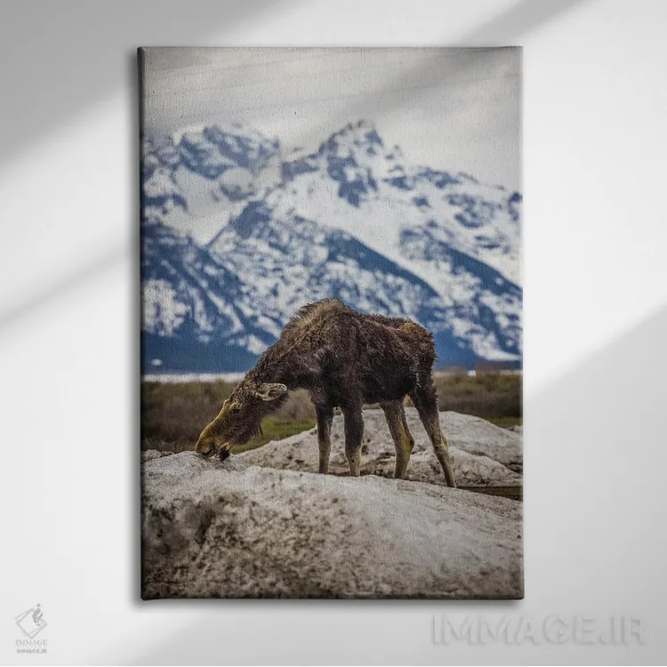 تابلو گوزن بزرگ تیتون (۲) اثر الکس جی پرز - نمای روبهرو روی دیوار