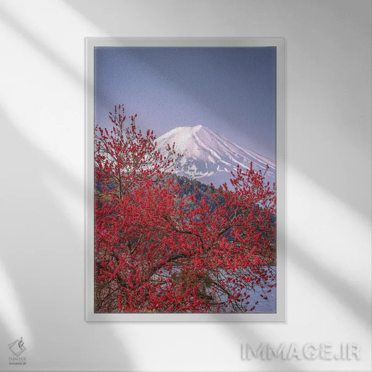 تابلو Lake Kawaguchi VII,منظره کوه فوجی از میان درختان شکوفه گیلاس کنار دریاچه کاواگوچی (۷) اثر الکس جی پرز - نمای قابدار سفید