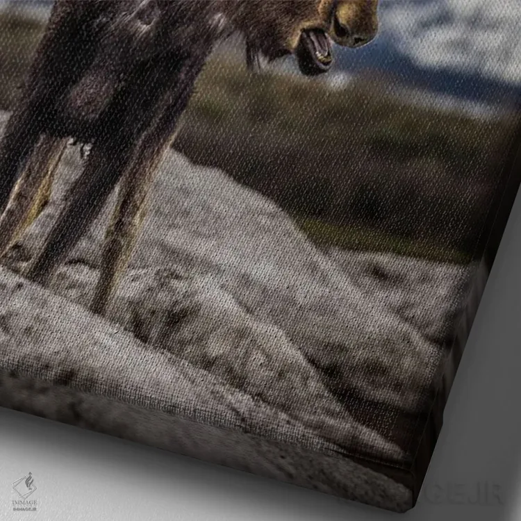 تابلو گوزن بزرگ تیتون (۳) اثر الکس جی پرز - نمای نزدیک بافت بوم