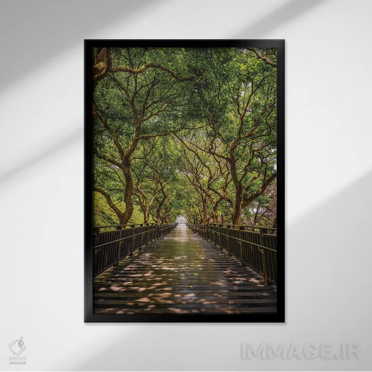 تابلو Taiwan,باغ ژیشان، تایوان اثر الکس جی پرز - نمای قابدار مشکی