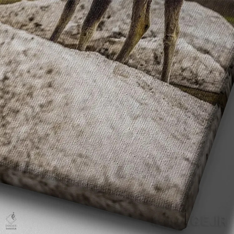 تابلو گوزن بزرگ تیتون (۲) اثر الکس جی پرز - نمای نزدیک بافت بوم